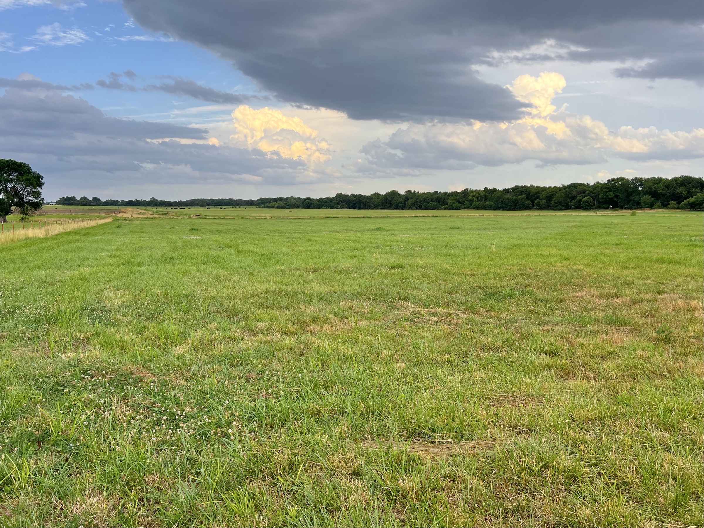 Tract 5 of 7: 34± acres