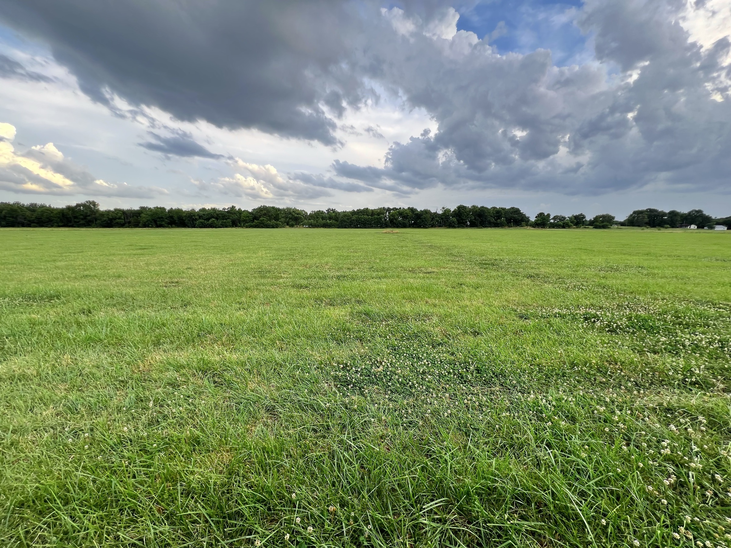 Tract 5 of 7: 34± acres