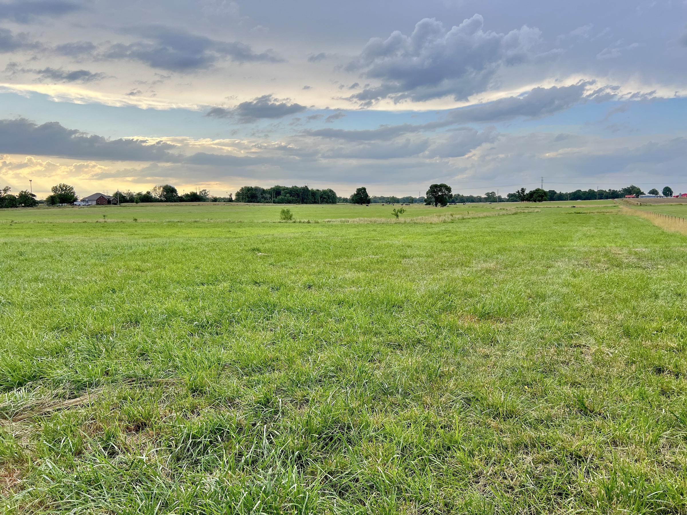 Tract 5 of 7: 34± acres
