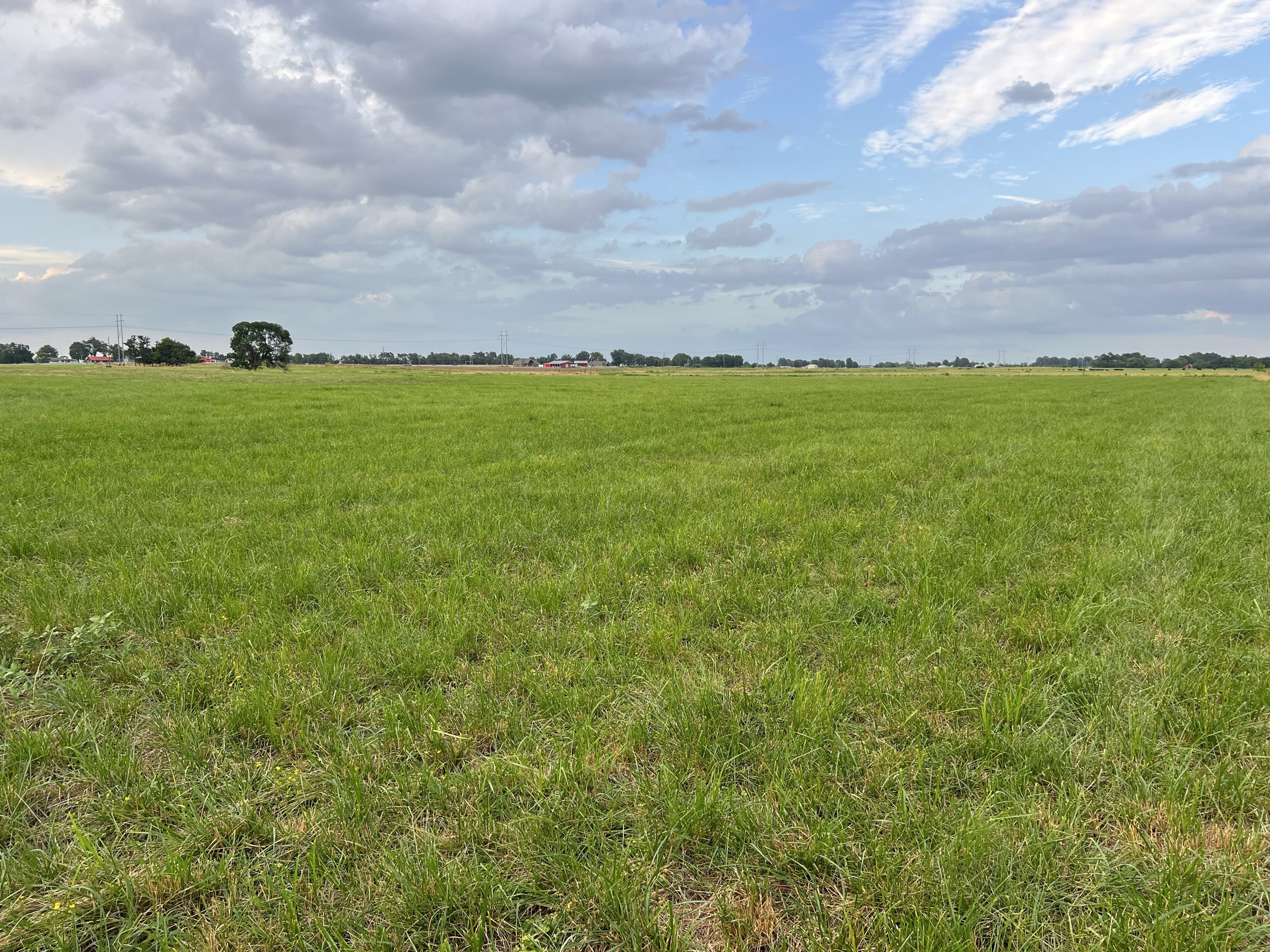 Tract 5 of 7: 34± acres