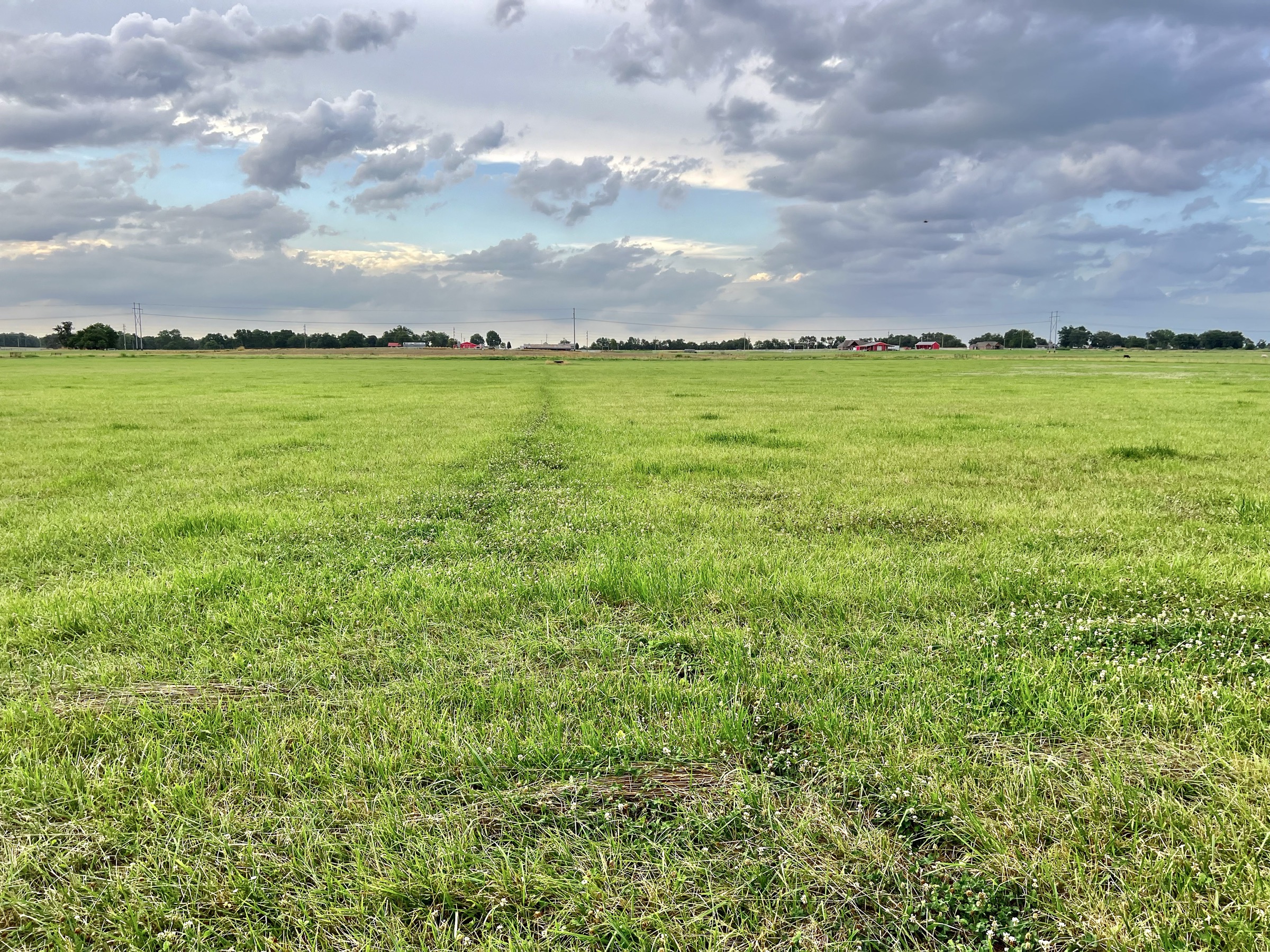 Tract 5 of 7: 34± acres