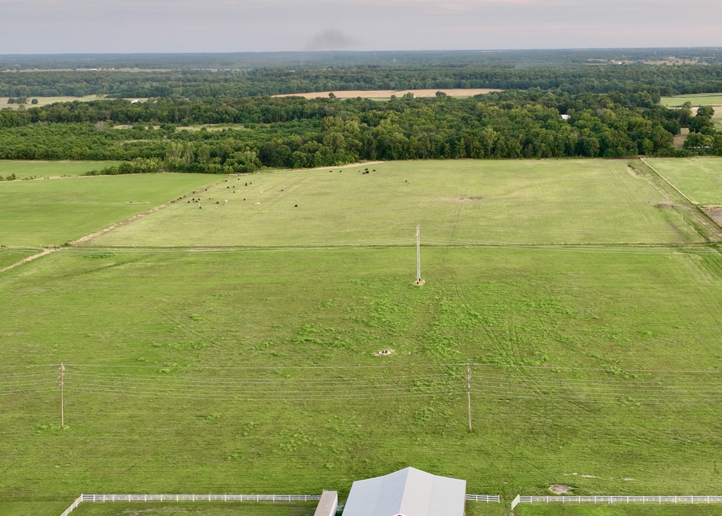 Tract 6 of 7: 20± acres