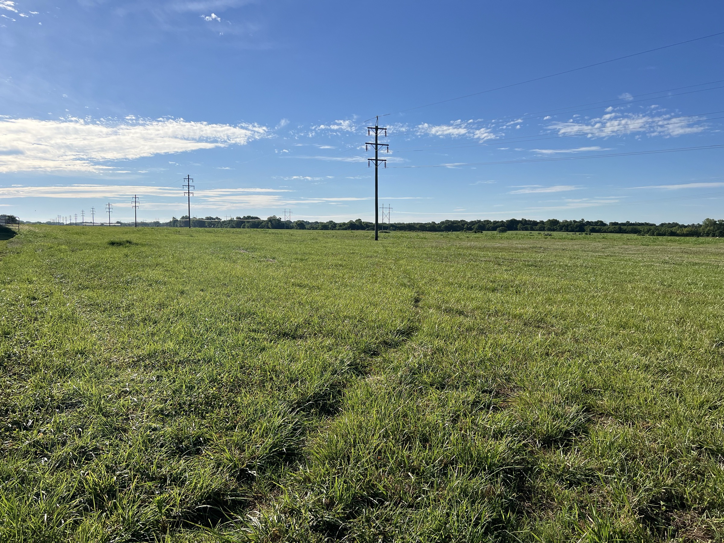 Tract 6 of 7: 20± acres