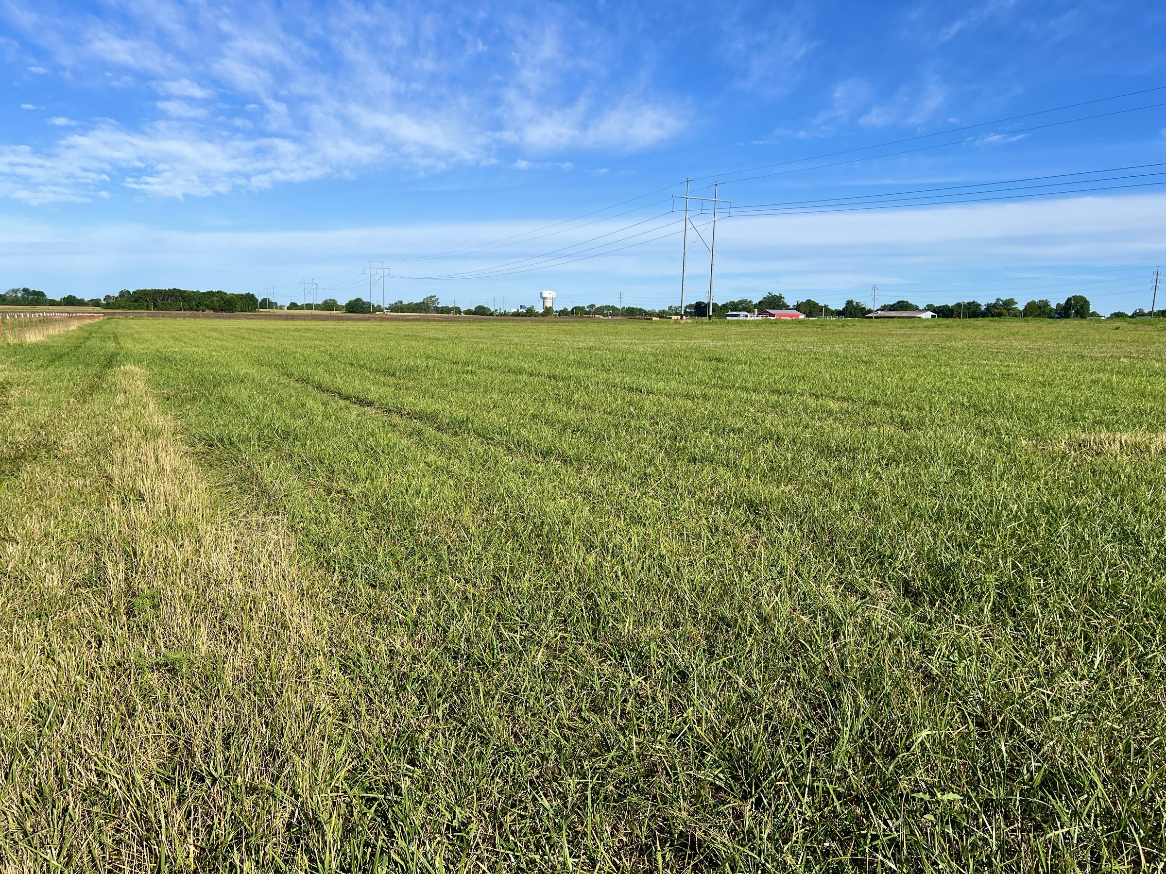 Tract 6 of 7: 20± acres