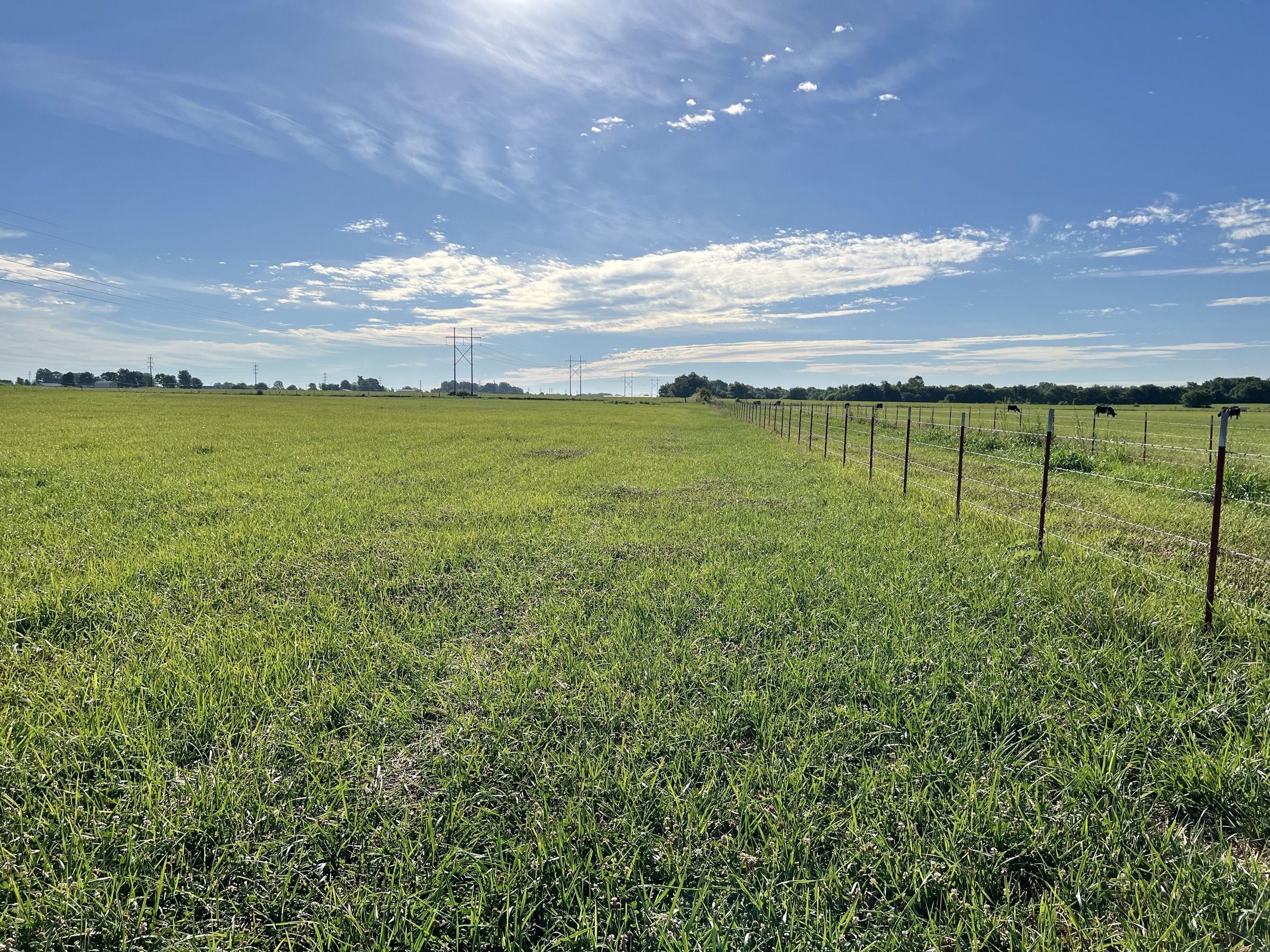 Tract 6 of 7: 20± acres