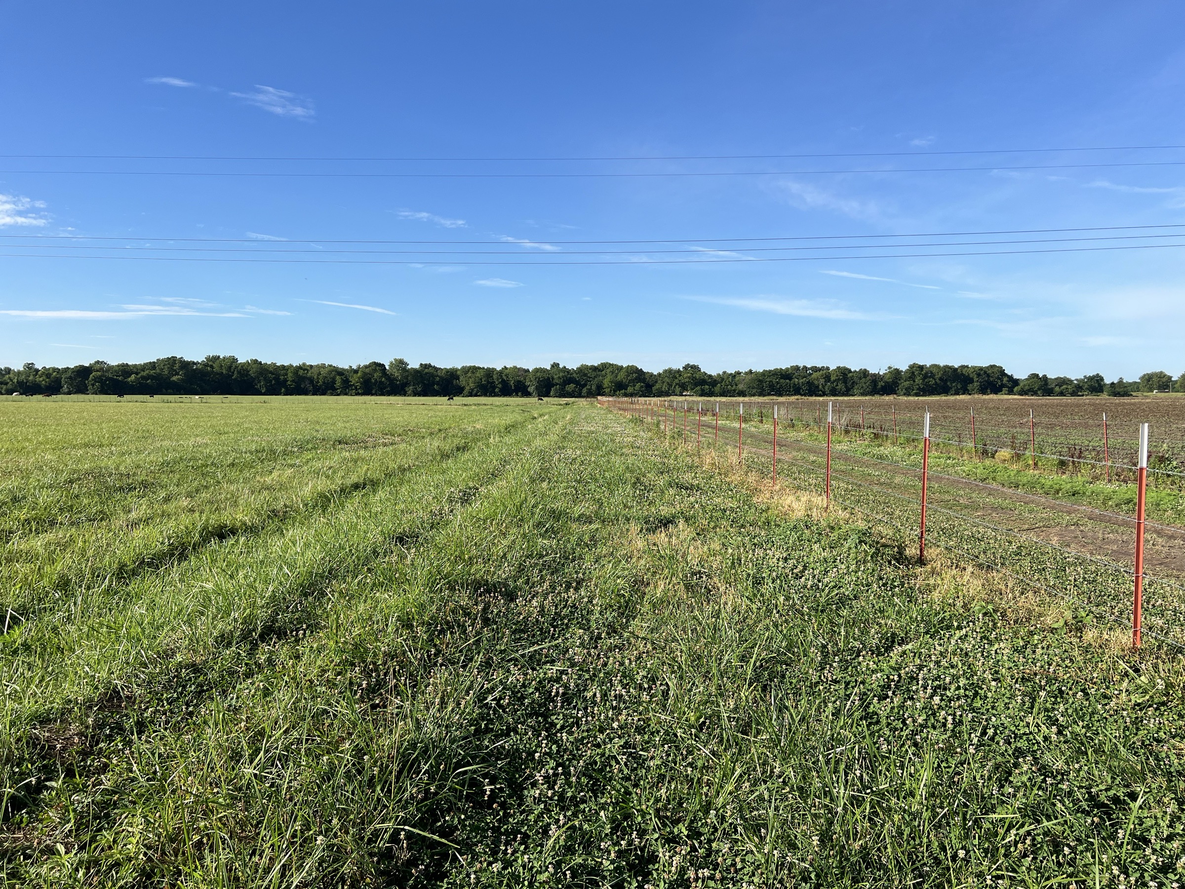 Tract 6 of 7: 20± acres