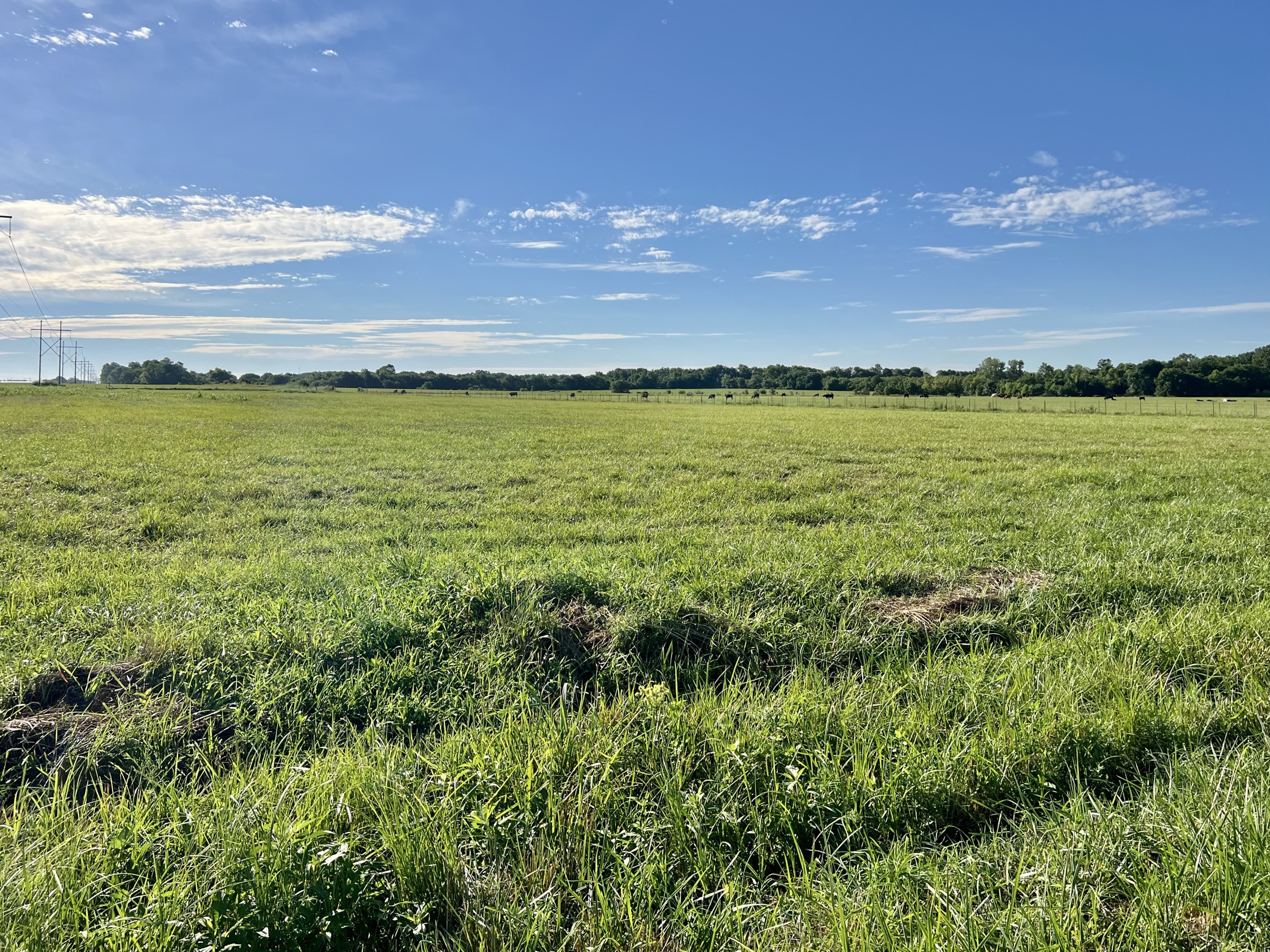 Tract 6 of 7: 20± acres