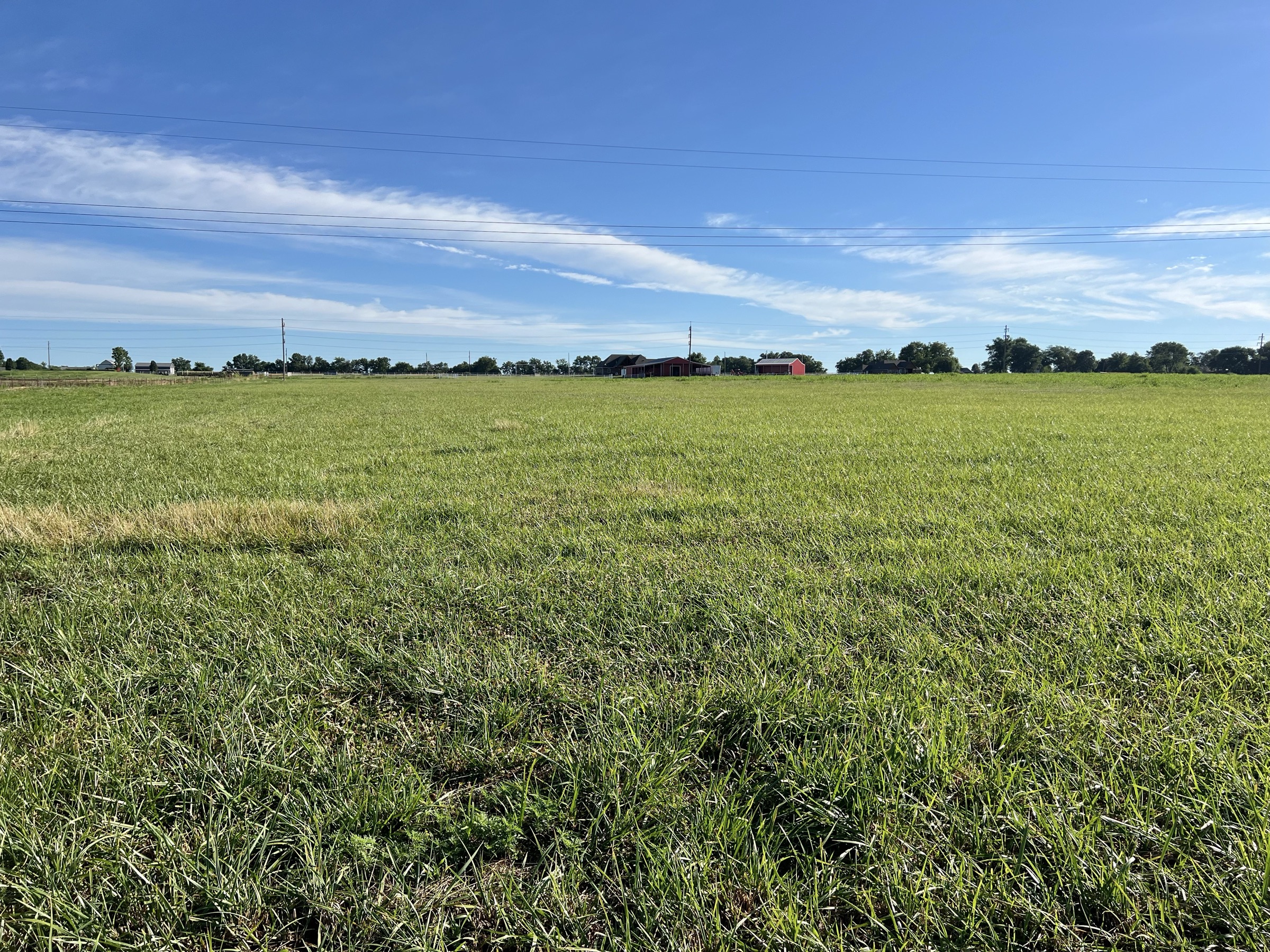 Tract 6 of 7: 20± acres