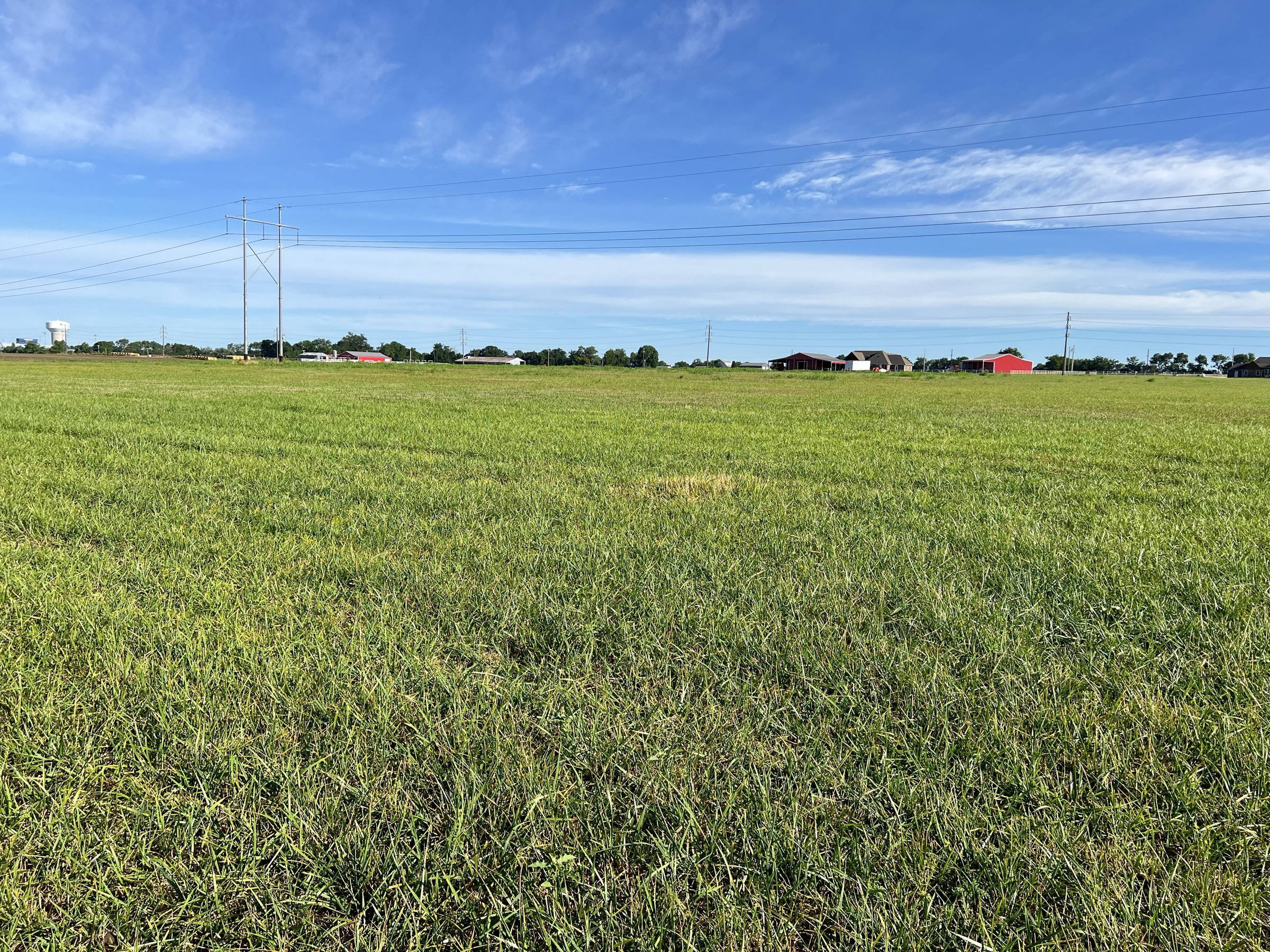 Tract 6 of 7: 20± acres