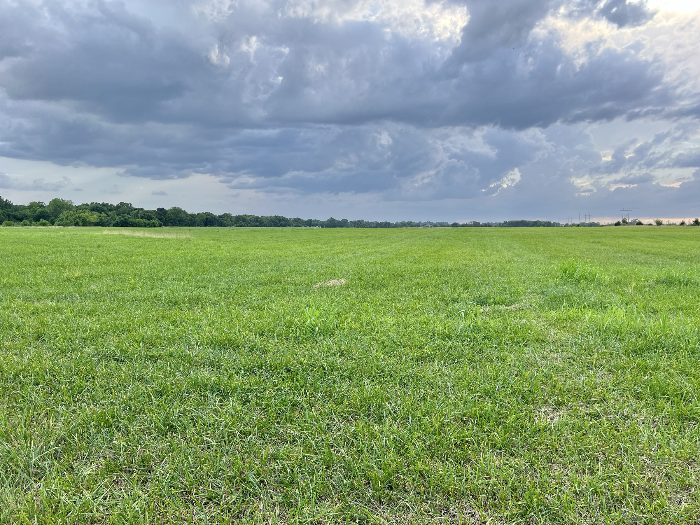 Tract 7 of 7: 70± acres