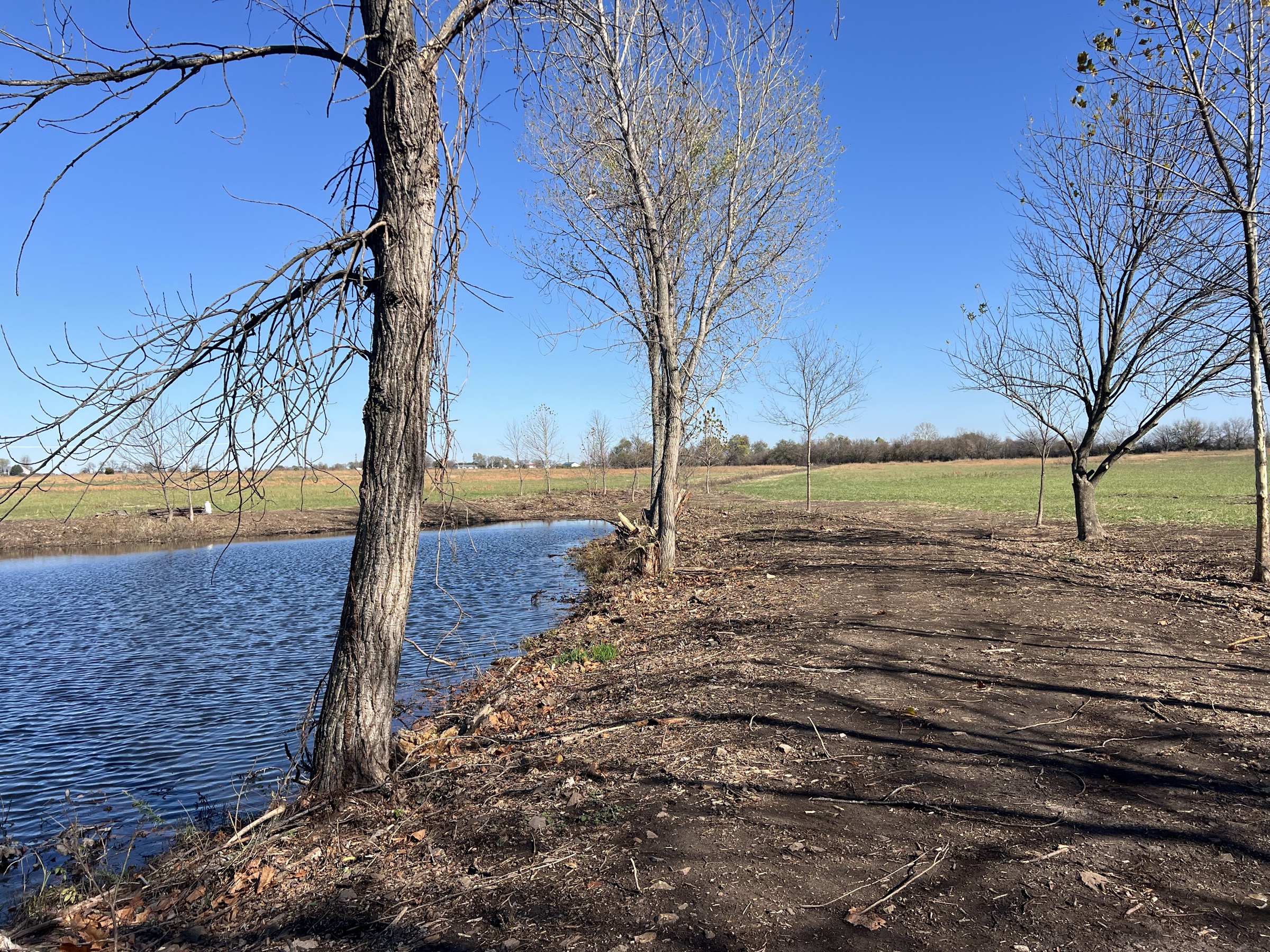 Tract 7 of 7: 70± acres
