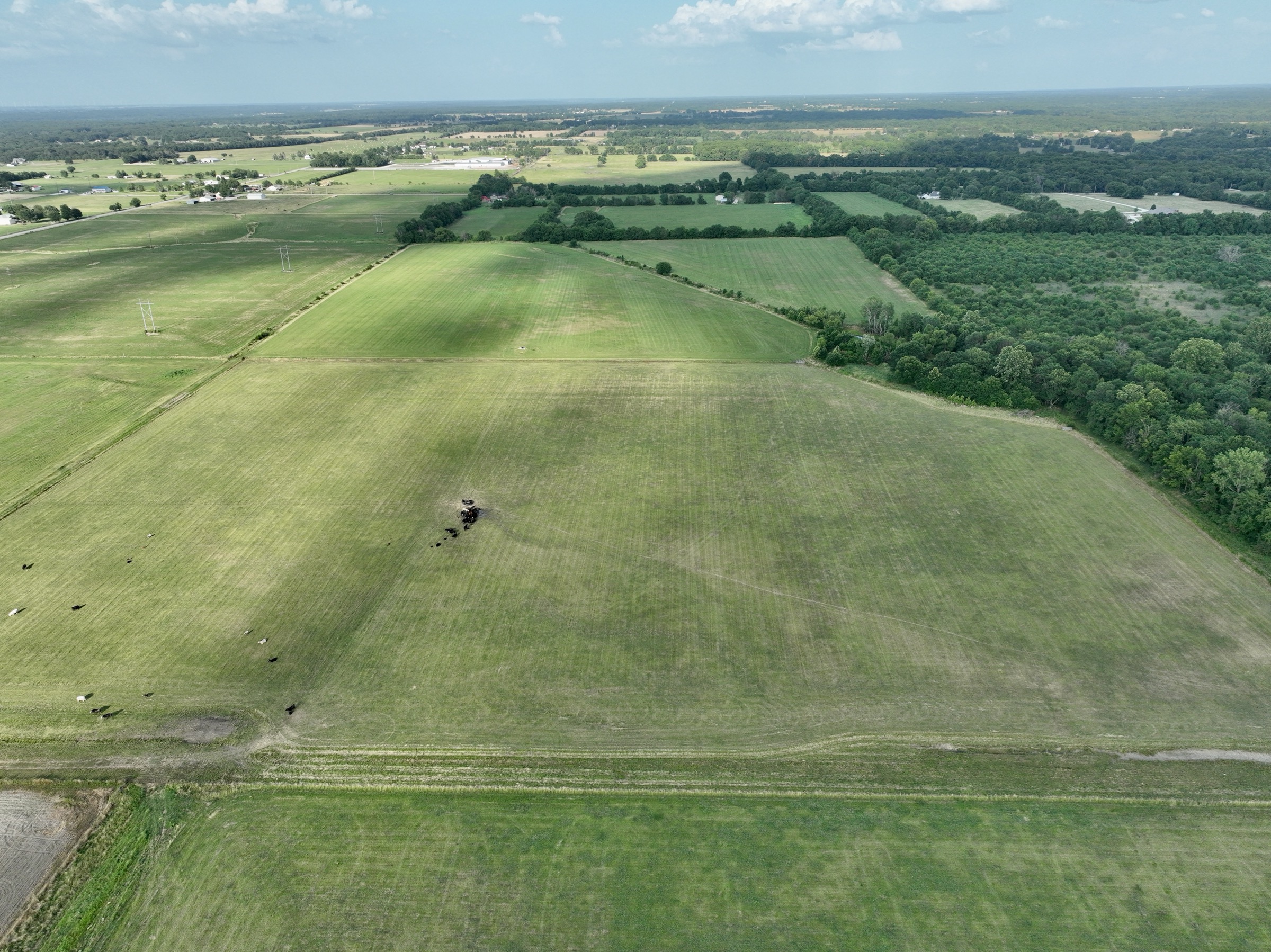 Tract 7 of 7: 70± acres