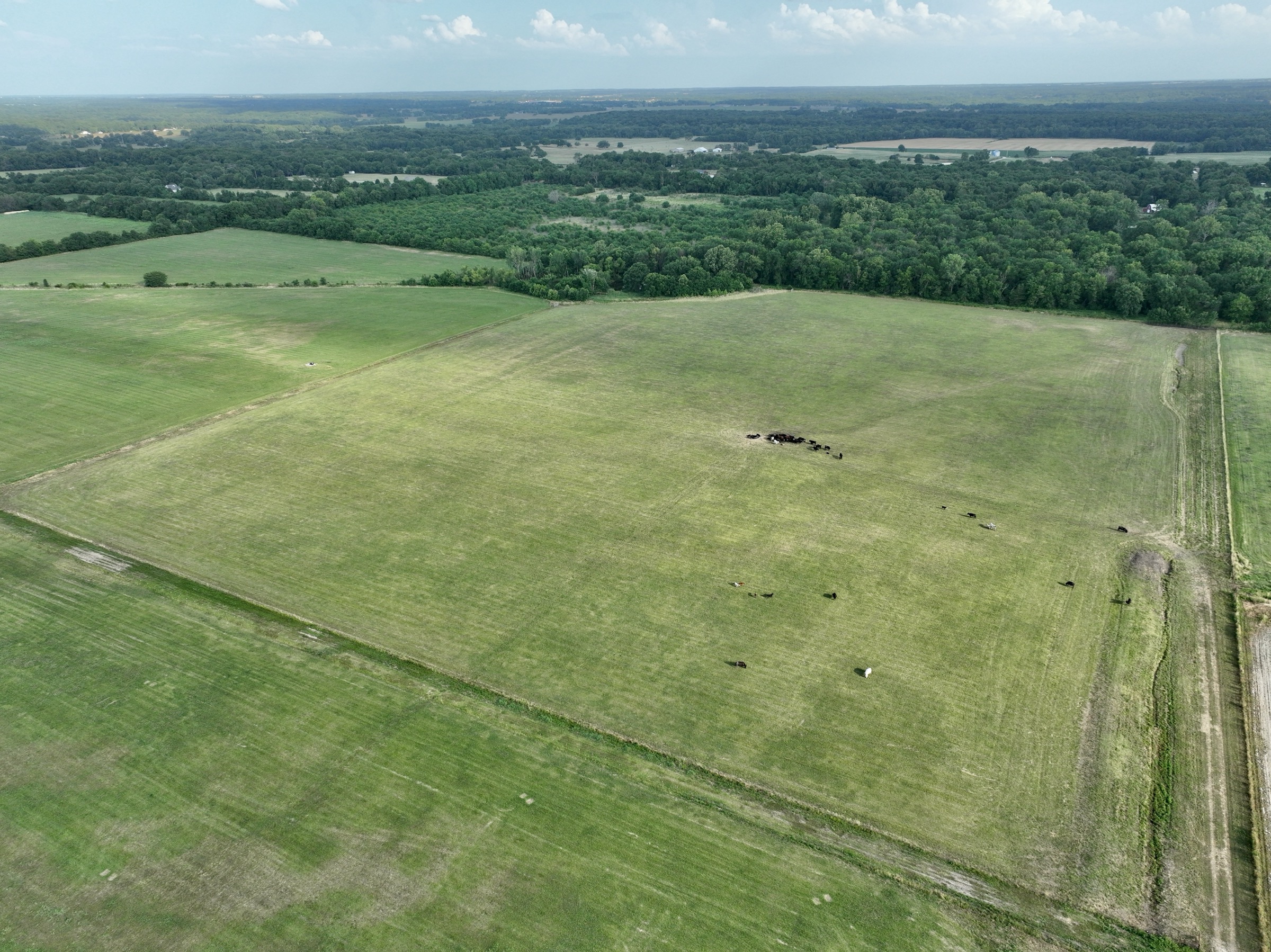 Tract 7 of 7: 70± acres