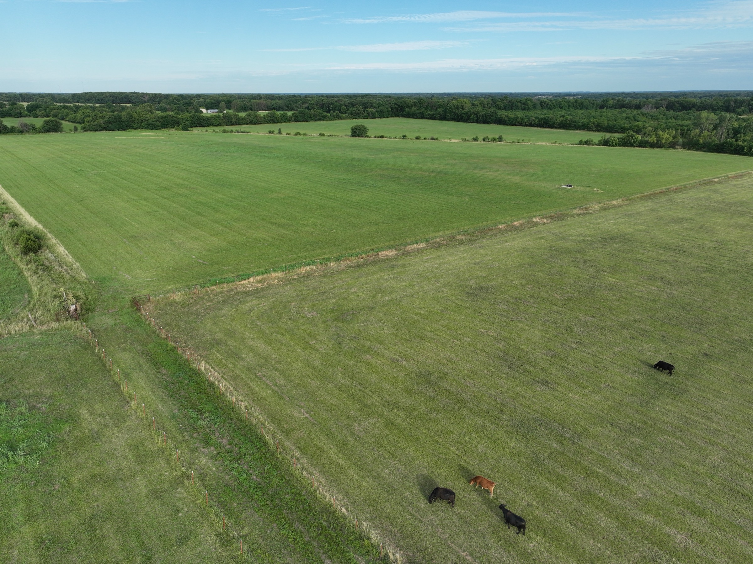Tract 7 of 7: 70± acres