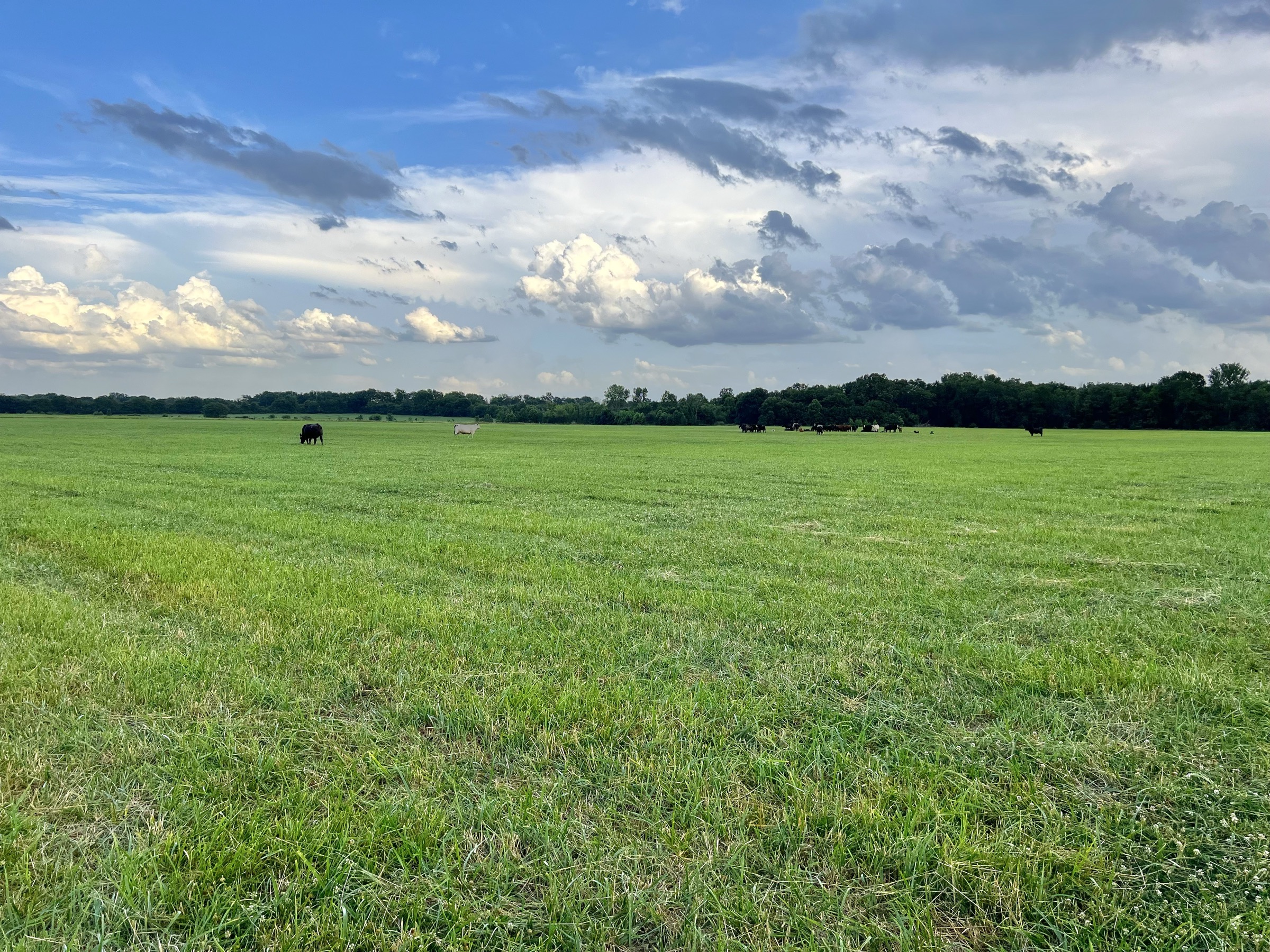 Tract 7 of 7: 70± acres