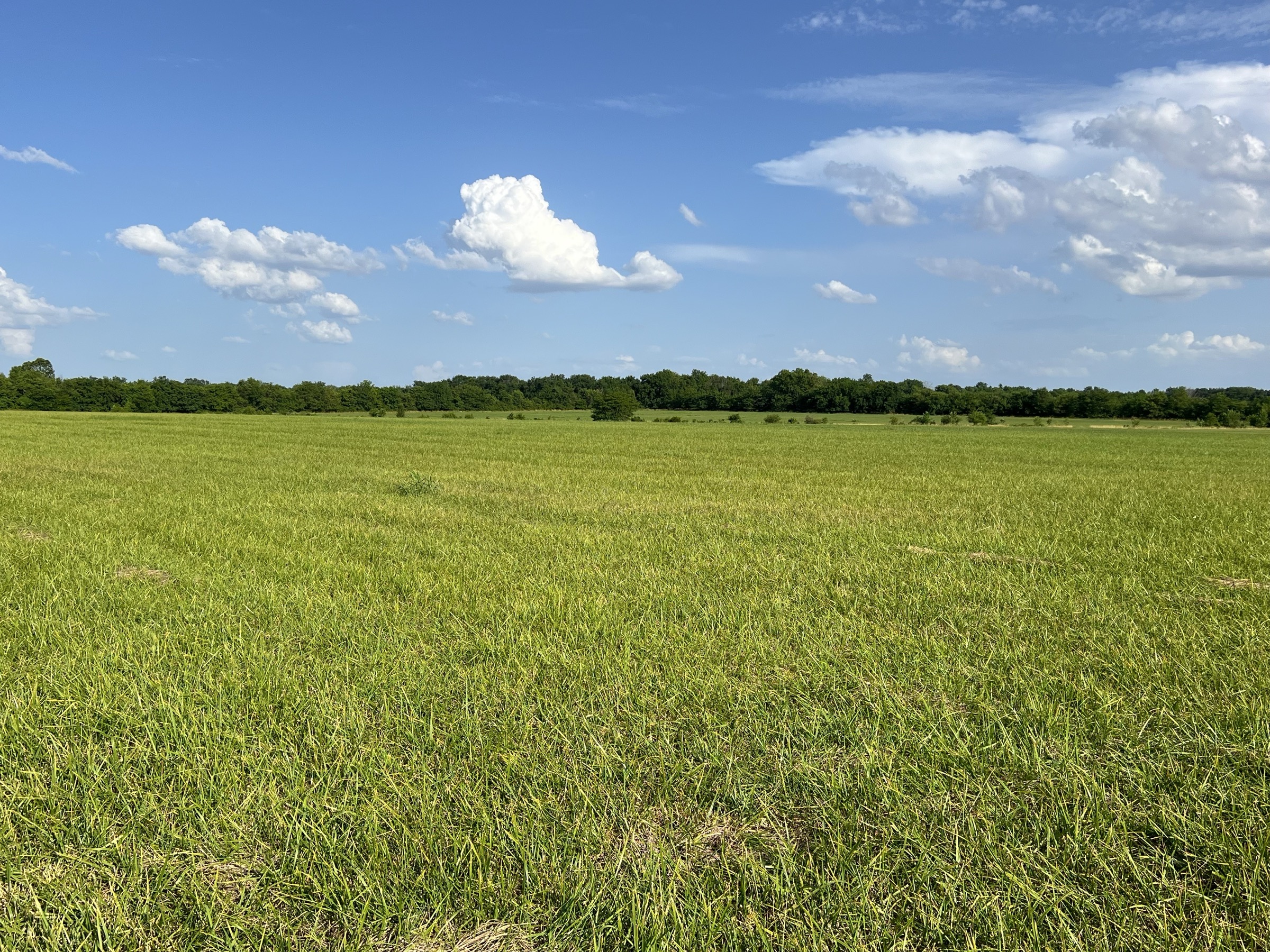 Tract 7 of 7: 70± acres
