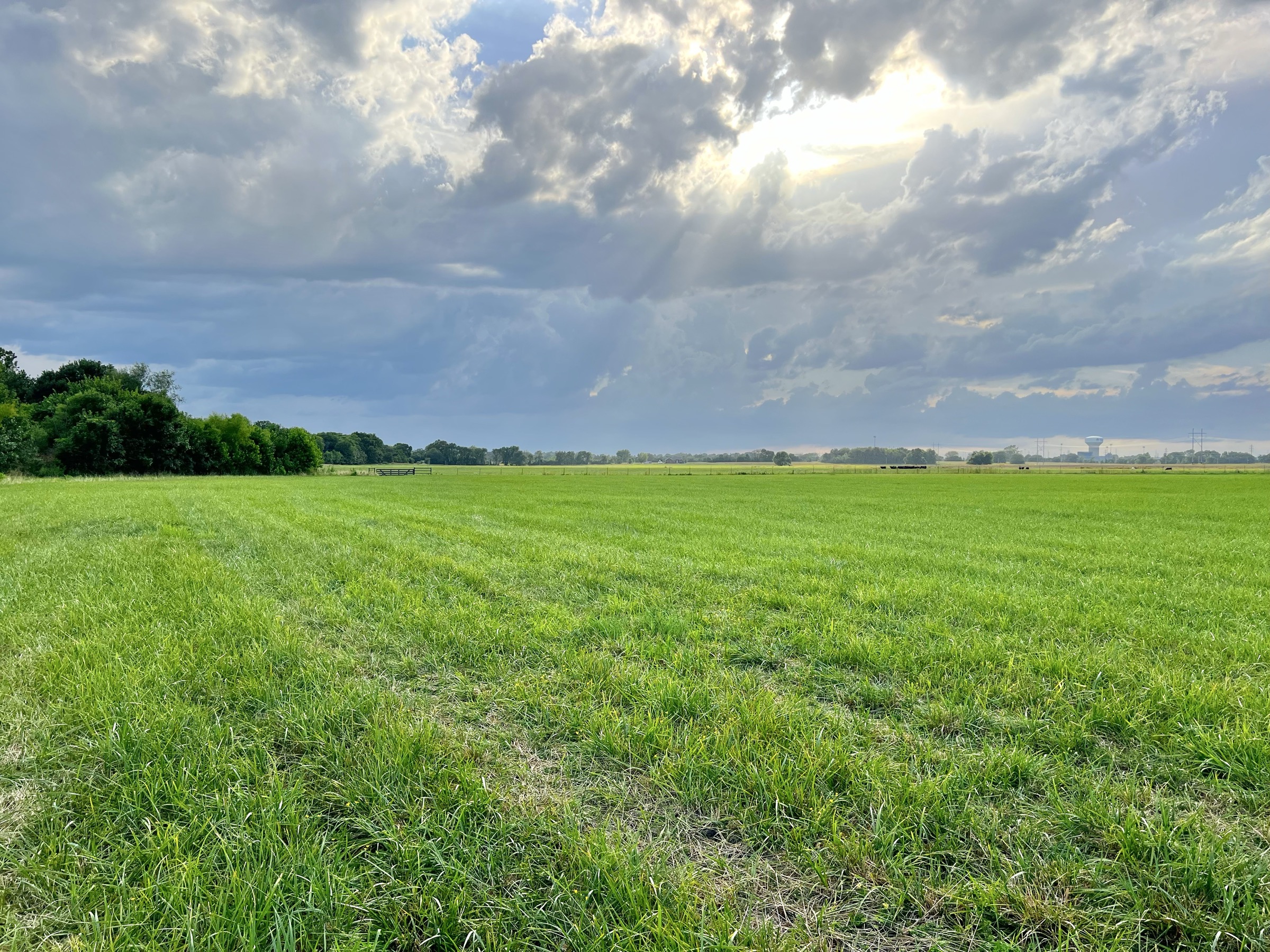 Tract 7 of 7: 70± acres