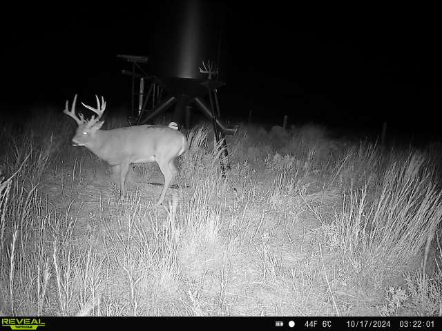 Tract 2 of 5