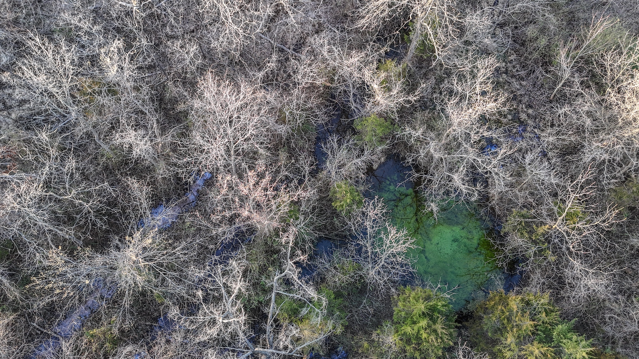 Tract 5 of 7