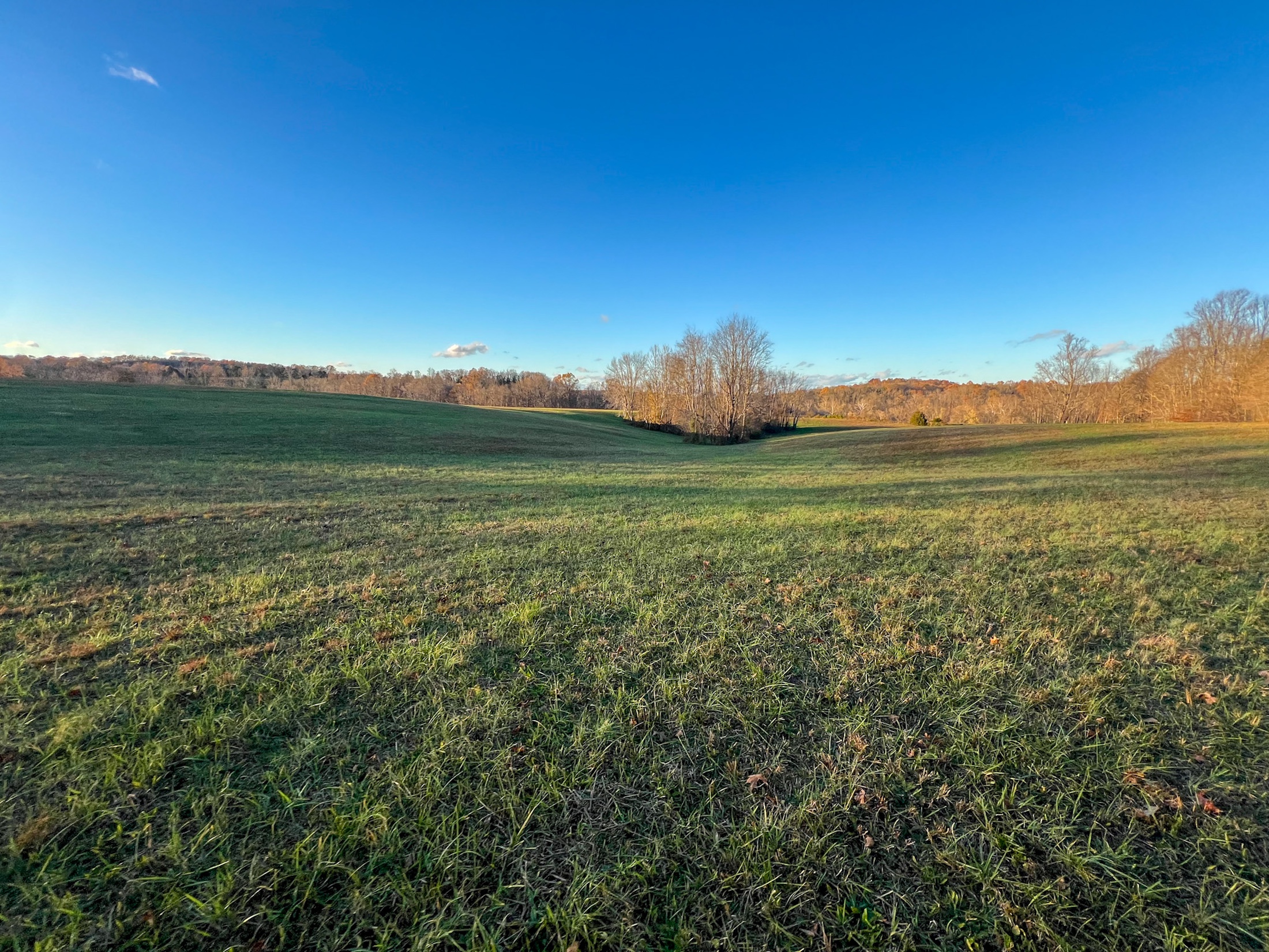 Tract 1 of 1