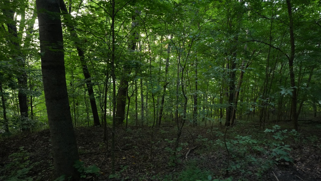 Tract 9 of 9