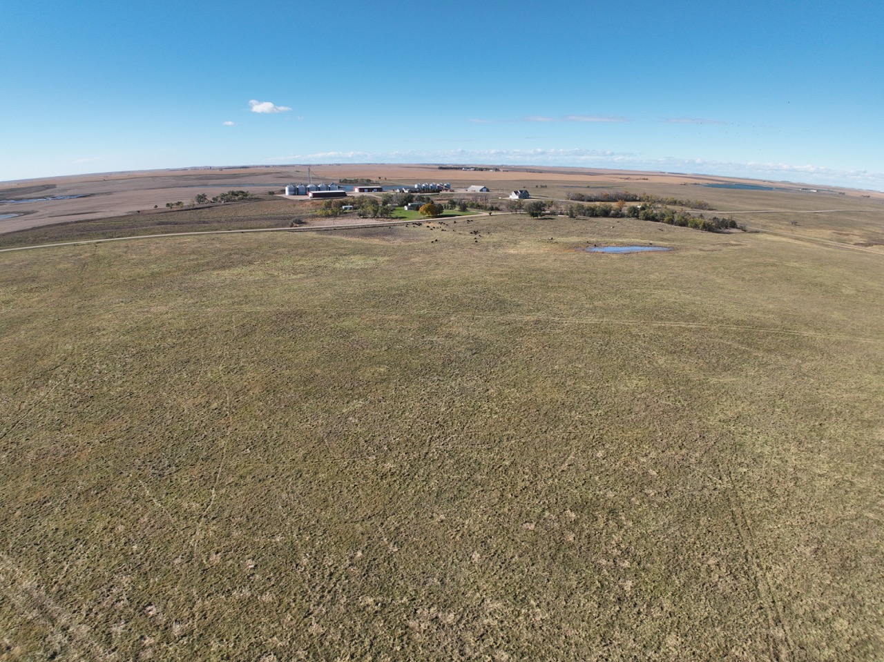 Tract 1 of 1