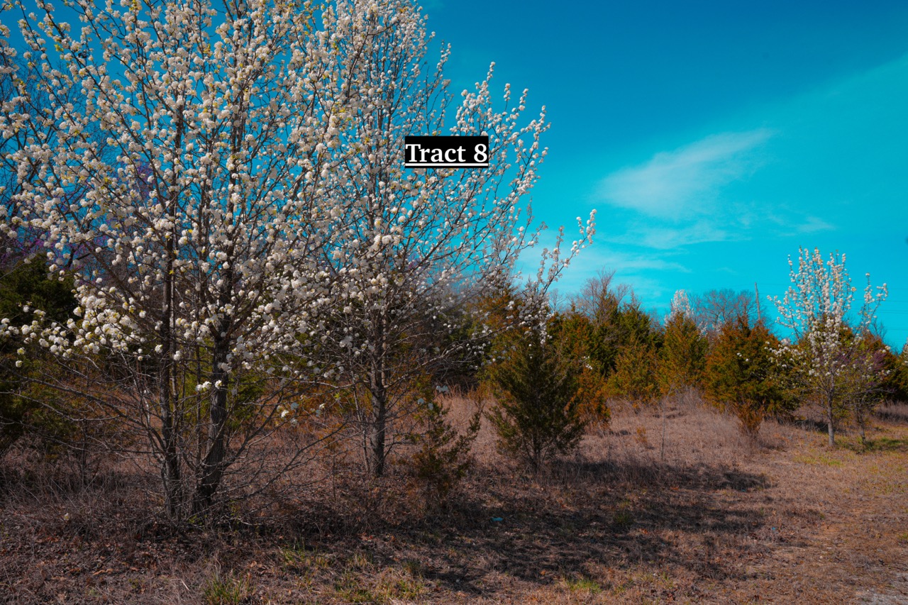 Tract 8 of 16