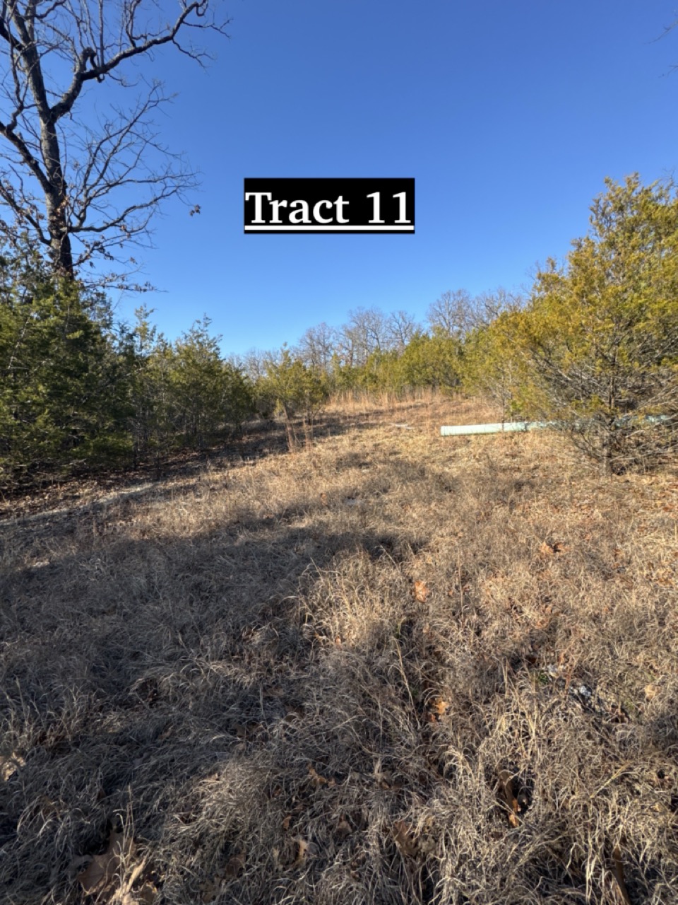 Tract 11 of 16