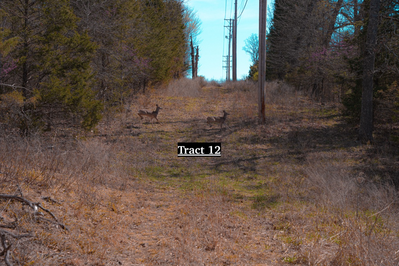 Tract 12 of 16