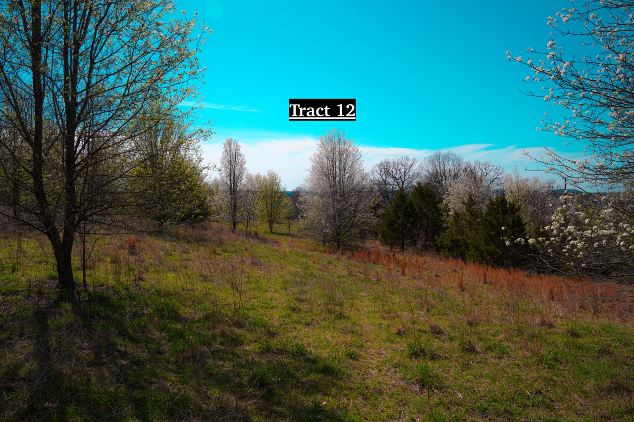 Tract 12 of 16