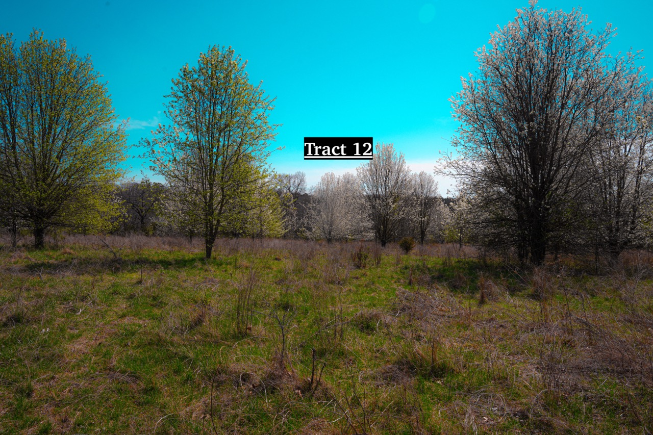 Tract 12 of 16
