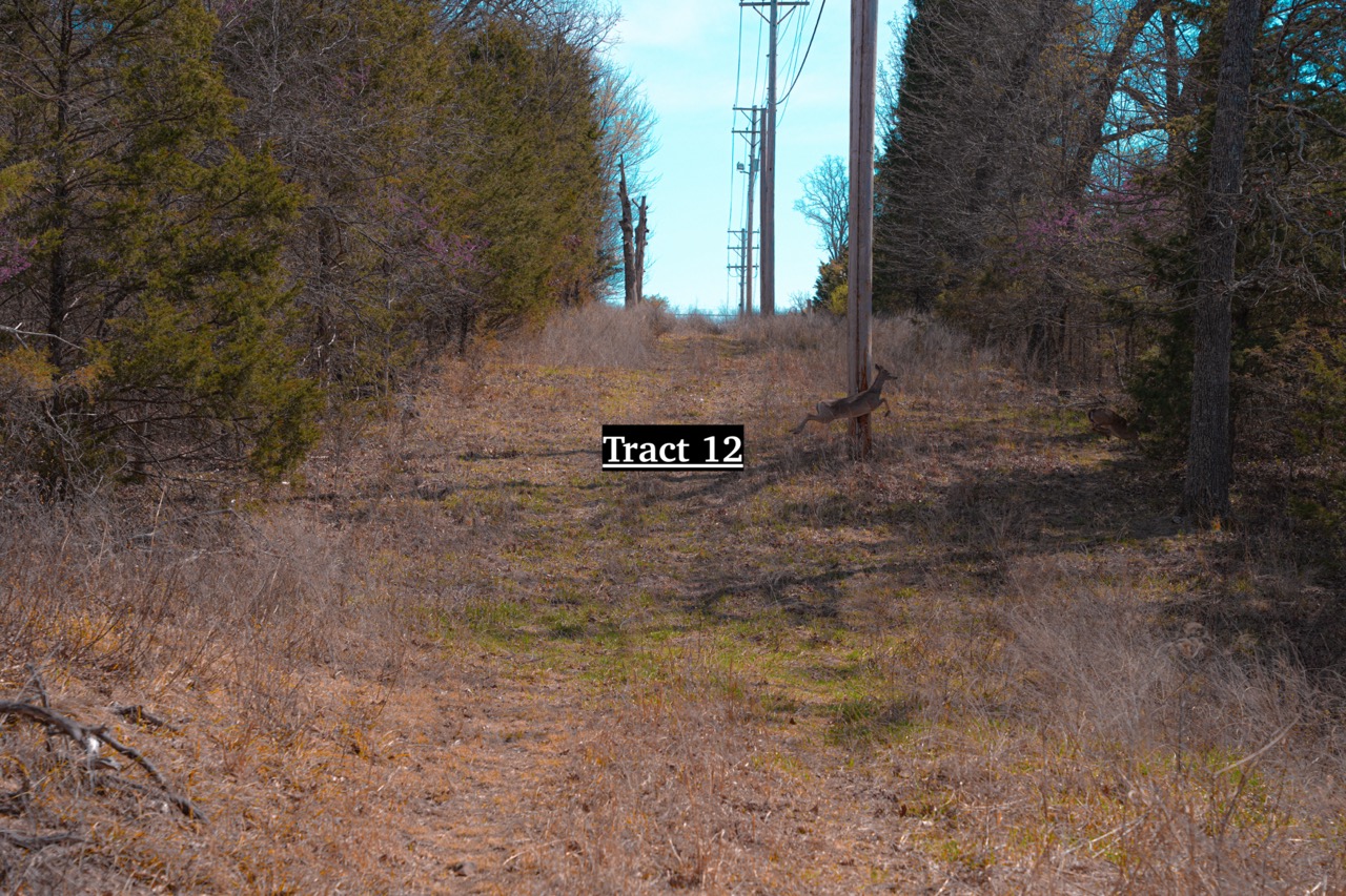 Tract 12 of 16