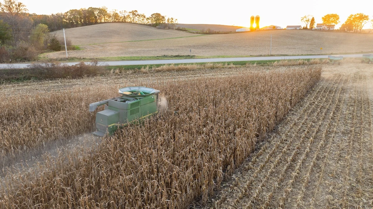 Cash Rent vs. Crop Share: Understanding Existing Farm Leases Before You Bid