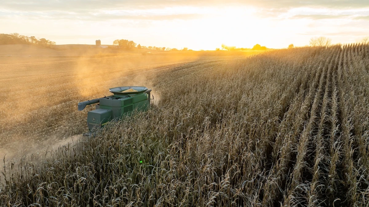 18 Things Crop Rotation Can Tell You About a Farm Before You Buy It