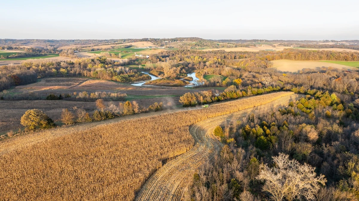 How Standing Crops Can Affect the Purchase of Farmland at Auction