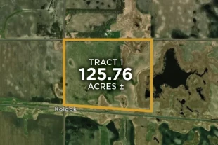 Barnes Co ND 125.76± Acres In 1 Tract