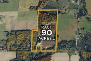 Ogemaw Co MI 90± Acres In 1 Tract