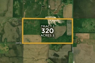 Clark Co SD 320± Acres In 1 Tract