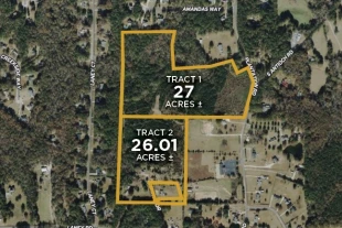 Henry Co GA 53.01± Acres In 2 Tracts