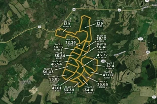 Livingston Co KY 989± Acres In 17 Tracts