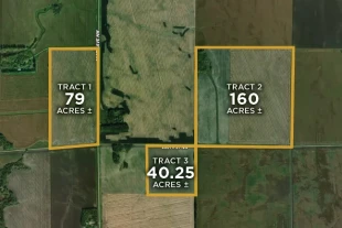 Marshall Co MN 279.25± Acres In 3 Tracts