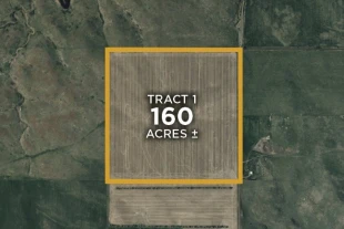 Corson Co SD 160± Acres In 1 Tract