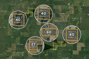 Wayne Co IL 227± Acres In 5 Tracts
