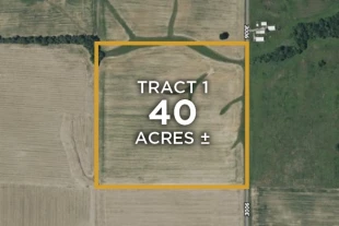 Wayne Co IL 40± Acres In 1 Tract