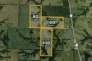Ray Co MO 260± Acres In 3 Tracts
