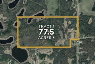Rolette Co ND 77.5± Acres In 1 Tract