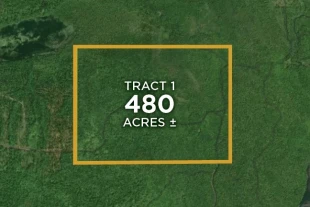 Alger Co MI 480± Acres In 1 Tract