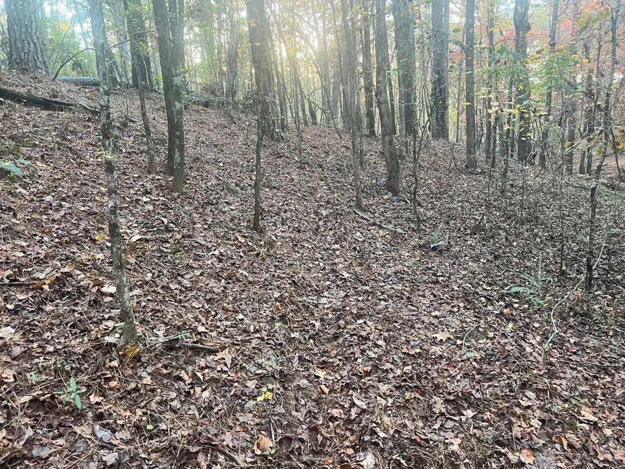 Tract 1 of 2