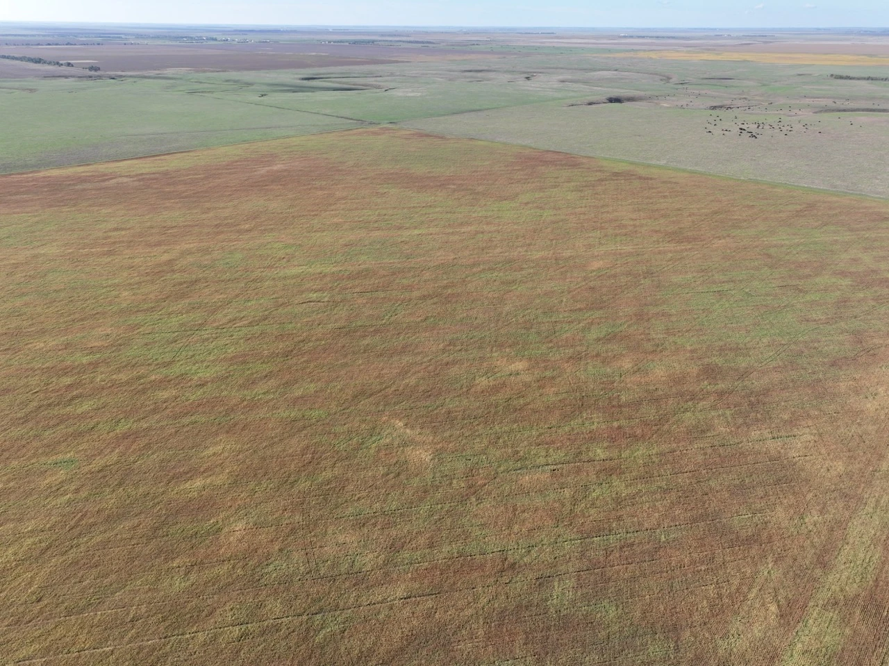 Tract 1 of 2